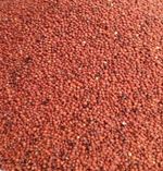 CLEAN RED SORGHUM(GUINEA CORN) 1.5KG  100% SOURCED ORGANICALLY FOR PAP/AKAMU/OGI