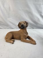 Vtg '91 Sandicast Sculpture Rhodesian Ridgeback Dog Signed Hand Cast/Painted   H