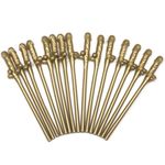 Willy Straws Hen Party Night Out Novelty Sucking Drinking Straws Gold Colour