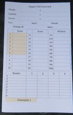 Cricket Umpire Pocket Cards T20 (Twenty20). Powerplay Highlighted. Pack of 25