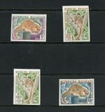 T944  Malagasy  1973  fauna Lemur  IMPERF  4v.    MNH