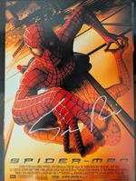 Sam Raimi Signed A3 Spider Man Poster Print Exact Video Proof