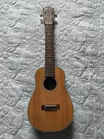 Clearwater UCW7C/PU Roundback Electric Concert Ukulele Plus Gig Bag