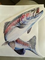 TROUT HIGH. Def STICKER  RAINBOW DECAL TACKLE BOX LAPTOP