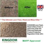 LAWN FEED WEED AND MOSS KILLER ALL IN ONE FERTILISER GRANULES 20KG COVERS 625sqm