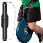 Dipping & Pull-Up Weight Belt with Chain for Gym, Bodybuilding & Back Support