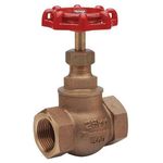 BRONZE PN32 BSPP GLOBE VALVE - STEAM - SIZES 1/4" TO 3"