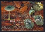 2005 PAPUA NEW GUINEA MUSHROOMS K10 MINI SHEET FINE MINT MNH