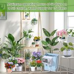 2025 Automatic Watering System Indoor DIY Newest Indoor Irrigation System Kit