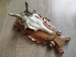 vintage Real  Skull with Horns, white bone, animal skull. Original 1950s