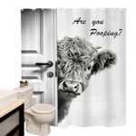 Highland Cow Shower Drape with "Are You Pooping?" Waterproof Drape with Hooks