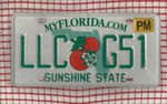 FLORIDA AMERICAN LICENSE NUMBER PLATE #FL