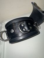 Titus Leather D-Ring COLLAR Black Gay Fetish New