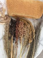 125g Hamster, Gerbils, Mice & Birds Spray Bundle🌾