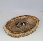 Stone Fossil Bowl Petrified Wood Ring Dish Decor Trinket Dish