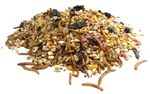 Robin and Songbird Wild Garden Bird Seed Premium Mix Food Suet Mealworms Raisins
