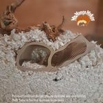 Hamster Burrow Hide, Hamster Watch Box, Hamster Hide, Small Animal Burrow Hide