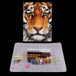 Latch Hook  Kits for Pillow  Cushion Carpet Rug Making 75x57cm