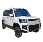 NatureCares Electric New energy vehicles low-speed double row 2000W LCD 4-Wheel