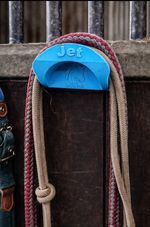 Magnetic Bridle Hook | Portable Bridle Holder | Tack Storage