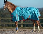 SALE! 100g Lightweight 600d Waterproof Breathable Horse Pony Turnout Rug Ripstop