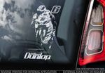 William Dunlop - Car Window Sticker - Suzuki Motorcycle Motorbike Superbike Sign