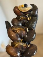 Fresh  Frozen Snails 10-12pieces Premium Jumbo Sizes, Next Day Delivery