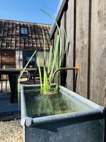 Vintage Copper Water / Pond Feature - Byre & Sty