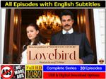 *Love Bird * Calikusu * Full 1080p HD* English Subtitles * No Adverts* USB *