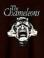 The Chameleons, 80's Rock Band, Black and White Fridge Magnet