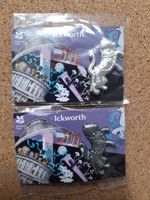 National Trust ICKWORTH Pair Silver & Pewter Charity Pin Badges
