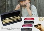 10 Hole Harmonica Key of C Diatonic Blues Harp Silver Swan with Case Blues Rock
