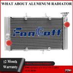 2 Rows Aluminium Radiator Fit 1996-1998 Honda CBR1100XX Blackbird SC35 CARB