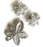 Vintage Sarah Coventry Set Brushed Silvertone 2” Leaf Pin & 1” Clip Earrings