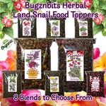 Giant African Land Snail Food / Herbal Blend Natural Organic Topper / Snail Mix