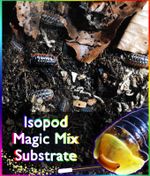 Organic Isopod Magic Mix Substrate - Snail Cockroach Milipedes Springtails Soil