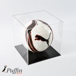 Football Display Case