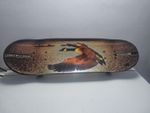 HGL SV21495 OzBozz SKATEBOARD Plastic-28 INCH Deck. Skateboard Lonely Wild Goose