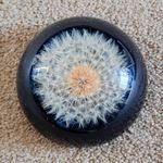 SARAMADE Glass Floral Flower Paperweight with Black Base, Made in England