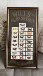 Vintage Wills Framed Butterflies 25 Cigarette Cards Retro Collectible British