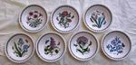 PORTMEIRION BOTANIC GARDEN PASTA SOUP DESSERT BOWL 8.5" (21.5 cm) WIDE NEW  
