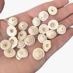 Seashells, Drilled, for Craft and Beads Jewellery 25 shells, SH5