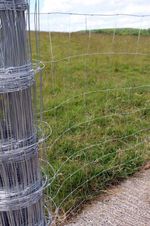 Stock Fencing L8/80/15 Sheep Pig Livestock Fence 50m Long 80cm High Galvanised