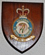 114 Squadron Royal Air Force mess wall plaque shield crest RAF