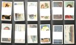 Wills: Reproduction Full Sets Multi Listing