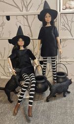 1/6 scale Fully articulated Pretty Witch Doll with Cauldron & Cat