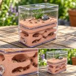 Plaster Ant Farm Nest Castle Insect Box Workshop Ecological Ant House 12x6x10cm