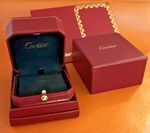 Cartier Necklaces Packaging Box with Card