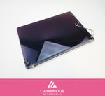 MacBook Pro A1398 15" Screen Replacement Retina LCD Assembly 2015 Silver Genuine