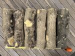 14kg 6no English Boxwood turning rounds 3-4” x 35cm no cracks